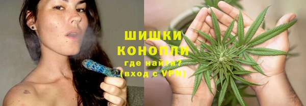 spice Богородск