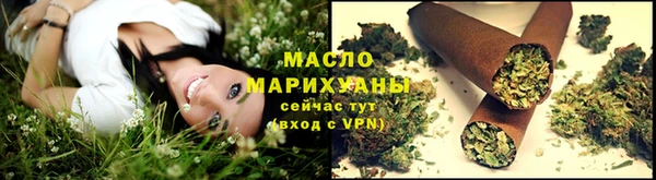spice Богородск