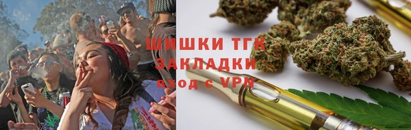 spice Богородск