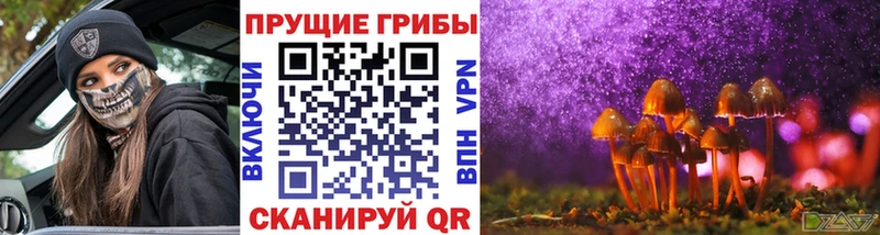 Галлюциногенные грибы ЛСД  Купить закладки  Красный Сулин 